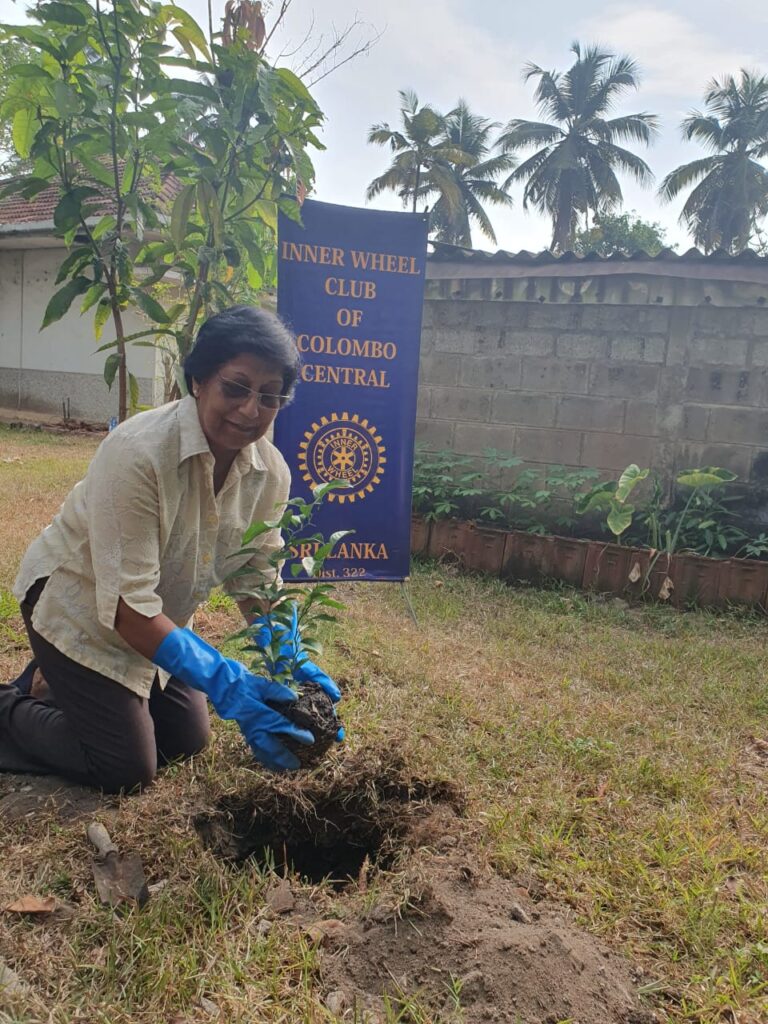 Joint tree planting project